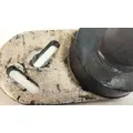 KENWORTH W900 Hood Parts thumbnail 4