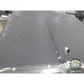 KENWORTH W900 Hood thumbnail 11