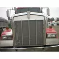 KENWORTH W900 Hood thumbnail 12