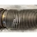 KENWORTH W900 Muffler thumbnail 4