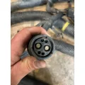KENWORTH  Body Wiring Harness thumbnail 12