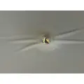 KENWORTH  Headliner thumbnail 3