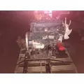 KUBOTA V2403 Engine Assembly thumbnail 1