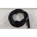 KUBOTA  Back Glass thumbnail 2