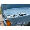 Kenworth T600 Hood thumbnail 11
