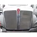 USED - B Grille KENWORTH T680 for sale thumbnail