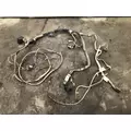 Kenworth T800 Cab Wiring Harness thumbnail 1