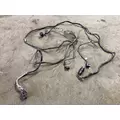 Kenworth T880 Exhaust DPF Wiring Harness thumbnail 1