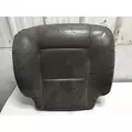 Kenworth W900L Seat Cushion thumbnail 2