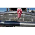 Kenworth W900 Grille thumbnail 4