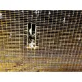 Komatsu D55S-3 Equip Radiator thumbnail 6