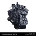 Kubota D1703 Engine Assembly thumbnail 2