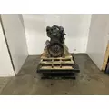 Kubota V2403 Engine Assembly thumbnail 4