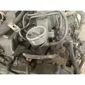 Kubota V2403 Engine Assembly thumbnail 6