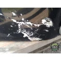 MACK CXU613 Hood thumbnail 15