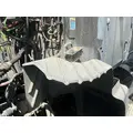 MACK CXU613 Inner Fender thumbnail 1