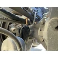 MACK Corporate Air Tandem Cutoffs thumbnail 12