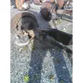 MACK FXL 12  AXLE ASSEMBLY, FRONT (STEER) thumbnail 6