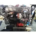 MACK MP7 EPA 07 (D11) ENGINE ASSEMBLY thumbnail 5