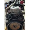 MACK MP7 EPA 07 (D11) ENGINE ASSEMBLY thumbnail 4