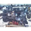 MACK MP7 EPA 10 (D11) ENGINE ASSEMBLY thumbnail 5