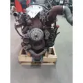 MACK MP7 EPA 13 (D11) ENGINE ASSEMBLY thumbnail 1