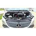 MERCEDES-BENZ SPRINTER Used Trucks thumbnail 12