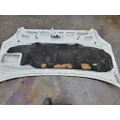 MERCEDES-BENZ Sprinter Hood thumbnail 2