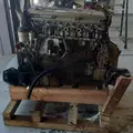 MERCEDES MBE 906 Engine Assembly thumbnail 6