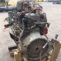 MERCEDES MBE 926 Engine Assembly thumbnail 9