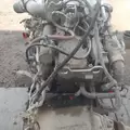 MERCEDES MBE 926 Engine Assembly thumbnail 9