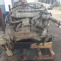 MERCEDES MBE 926 Engine Assembly thumbnail 11