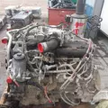 MERCEDES MBE 926 Engine Assembly thumbnail 14