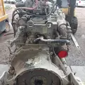 MERCEDES MBE 926 Engine Assembly thumbnail 20