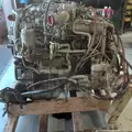 MERCEDES MBE 926 Engine Assembly thumbnail 14