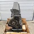 MERCEDES MBE4000 Engine Assembly thumbnail 8