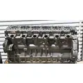 MERCEDES MBE4000 Engine Assembly thumbnail 2