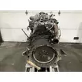 MERCEDES MBE900 Engine Assembly thumbnail 4