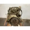 MERCEDES MBE900 Engine Assembly thumbnail 5