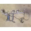 MERCEDES OM 906 Engine Wiring Harness thumbnail 1