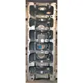 MERCEDES OM460LA Cylinder Block thumbnail 10