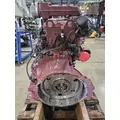 MERCEDES OM904 EGR Engine Assembly thumbnail 4