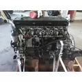 MERCEDES OM906-LA-MBE906 EPA 98 ENGINE ASSEMBLY thumbnail 8