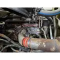 MERCEDES OM926 Engine Assembly thumbnail 4