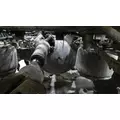MERITOR-ROCKWELL MD2014XR247 CUTOFF - SINGLE AXLE thumbnail 4