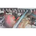 MERITOR-ROCKWELL MD2014X AXLE ASSEMBLY, REAR (FRONT) thumbnail 2