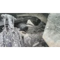 MERITOR-ROCKWELL MR2014X AXLE ASSEMBLY, REAR (REAR) thumbnail 1