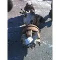 MERITOR-ROCKWELL SSHDF AXLE ASSEMBLY, REAR (FRONT) thumbnail 3