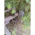 MERITOR FF961NX265 Axle Assy, Fr (4WD) thumbnail 14
