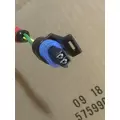MISCELLANEOUS  Wire Harness, Transmission thumbnail 6